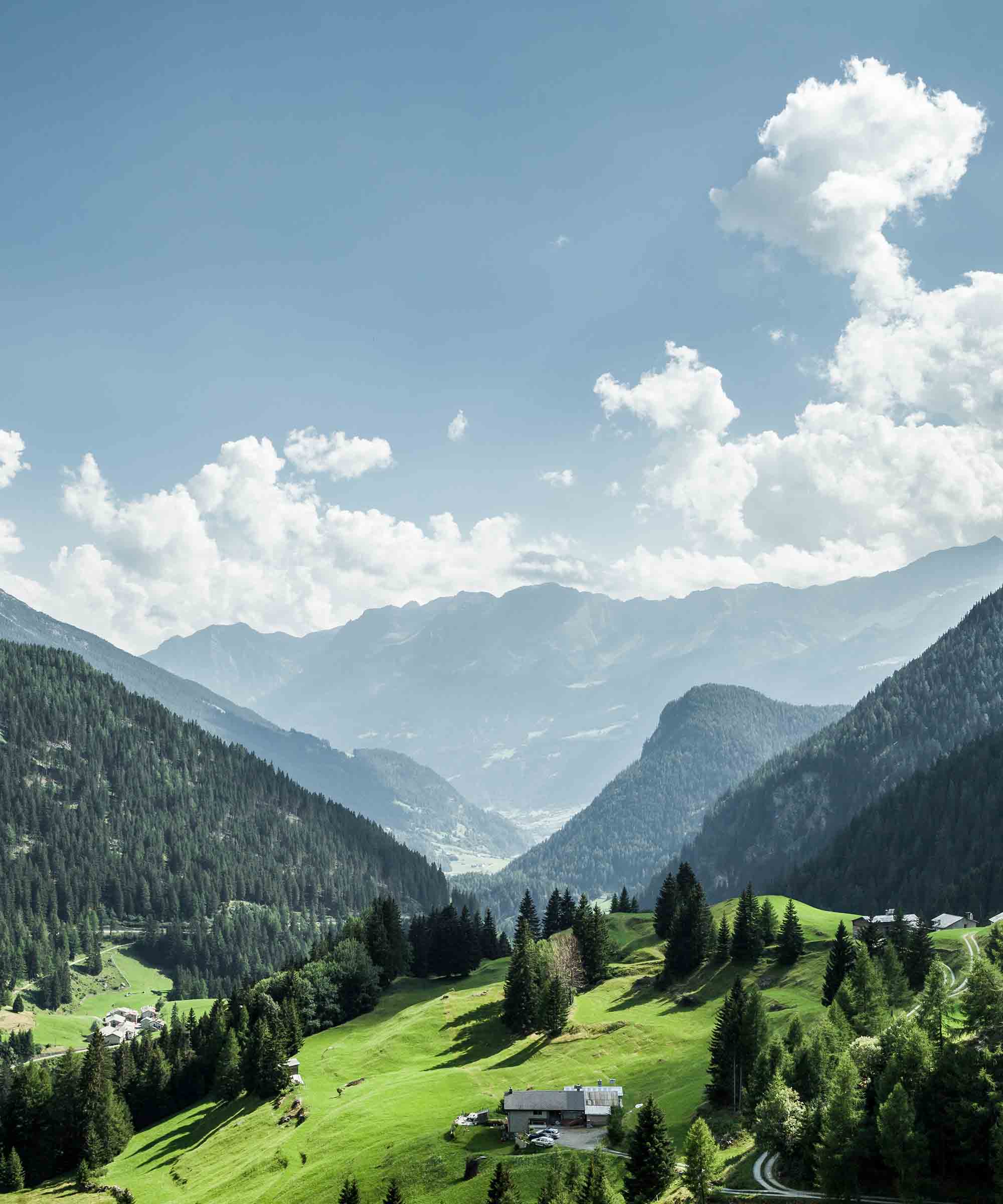 Organic Sage Tea β 45 Bag Refill