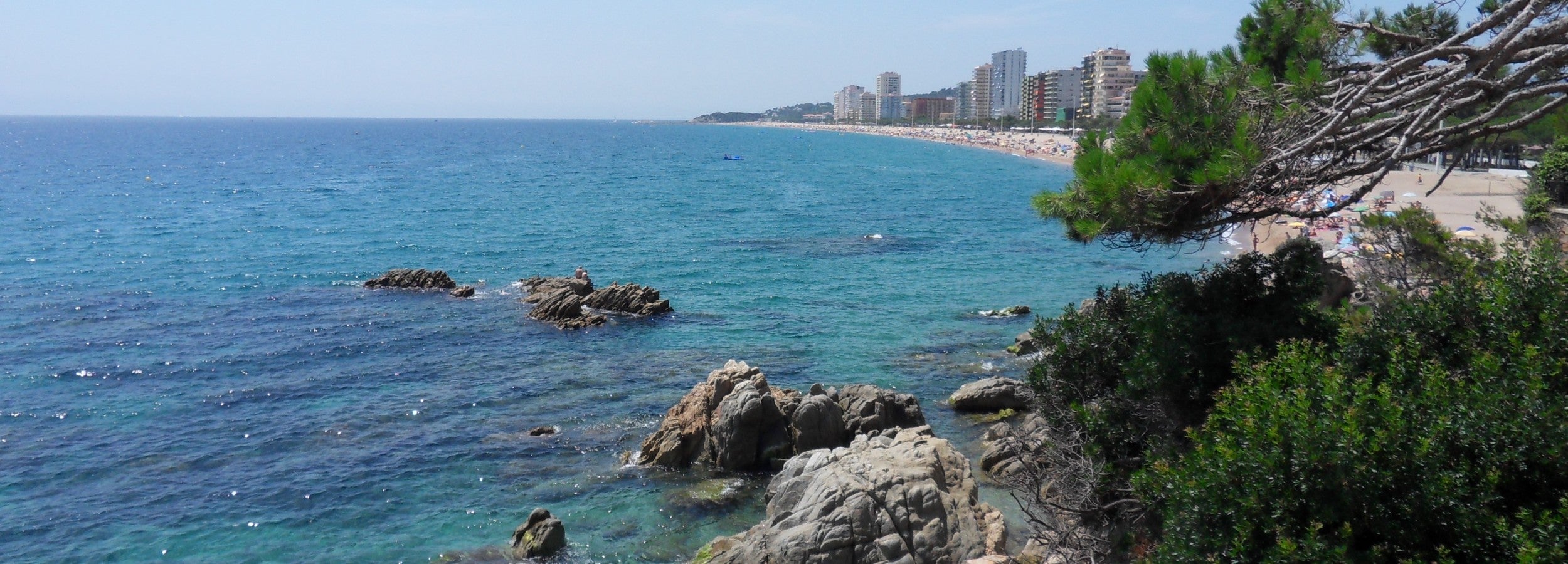 Picture of the costa brava coast with rocks, beaches and trees