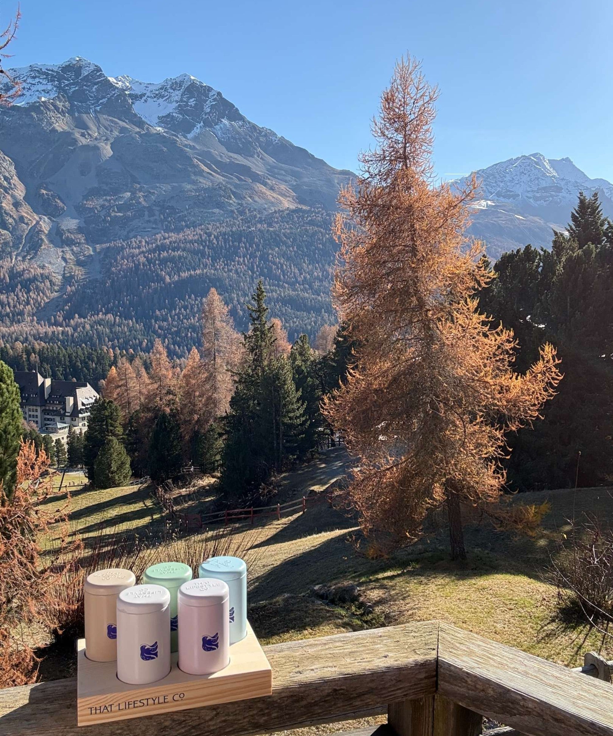 That Lifestyle Co.'s Organic Tea Collection x5 displayed on a wooden tea tray against a backdrop of stunning Swiss Alpine scenery, showcasing the essence of mindful living